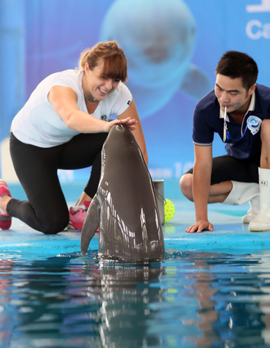 入更多年轻 入更多年轻